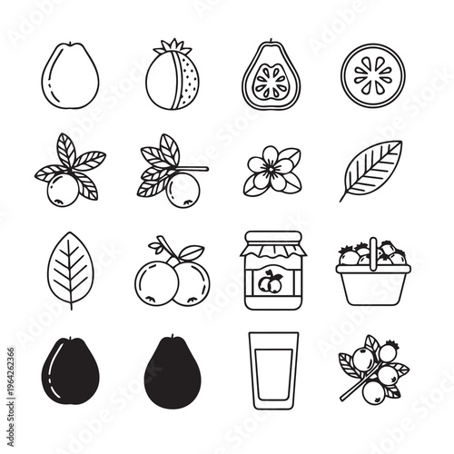 Assorted Fruit Icons: Guava Berries Jam and Glass of Juice in Minimalist Outline Style