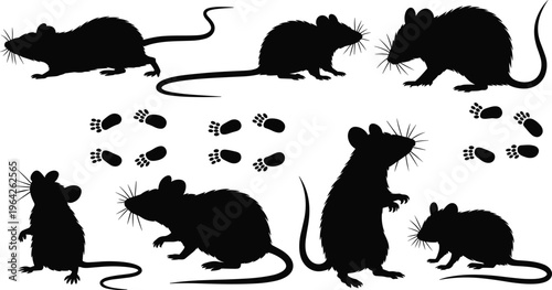 Rat silhouettes collection featuring different poses and footprints detailed black vector illustration isolated for pest control design, rodent themes, and wildlife graphics