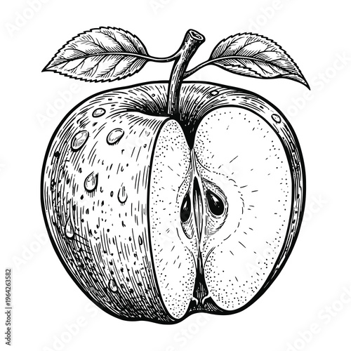 Detailed black and white illustration of a halved apple with leaves and water droplets on its surface