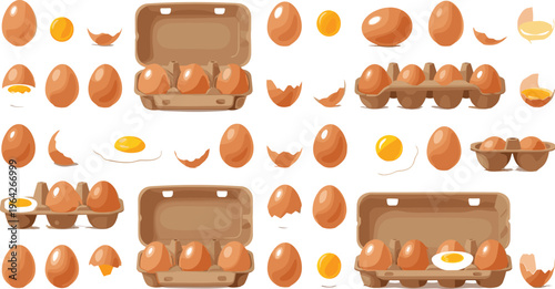 Brown Eggs in Various Stages of Cracking, Yolk, and Carton for Cooking, Food, and Kitchen Illustration Designs
