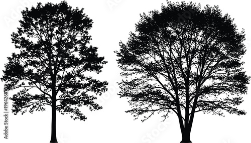 African safari animal silhouettes set isolated on white background, black lion elephant rhino and giraffe vector illustration, diverse wildlife icons for professional nature design projects.