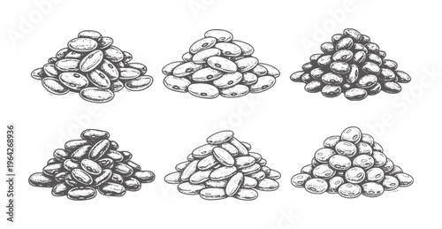 Six piles of assorted dried beans in a hand drawn style food legume