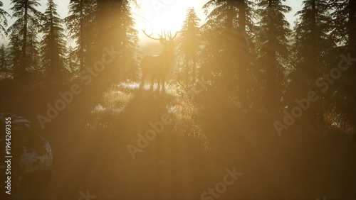 A regal deer stands atop a grassy knoll, bathed in the warm glow of sunrise. The misty forest encircles it, creating an enchanting atmosphere in the early morning light.