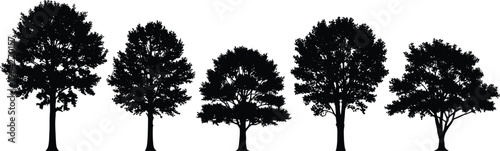Deciduous tree silhouettes set isolated on white background, black oak maple and elm forest trees vector illustration, diverse nature landscape elements for graphic design.