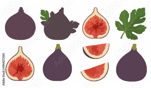 Realistic fig fruit vector set with sliced figs and leaves detailed texture healthy organic food illustration