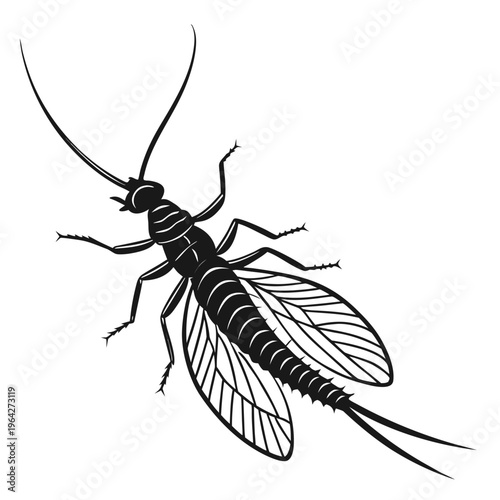 Mayfly Insect Vector Illustration, Aquatic Entomology Icon, Delicate Ephemeroptera Silhouette, Scientific Nature Graphic