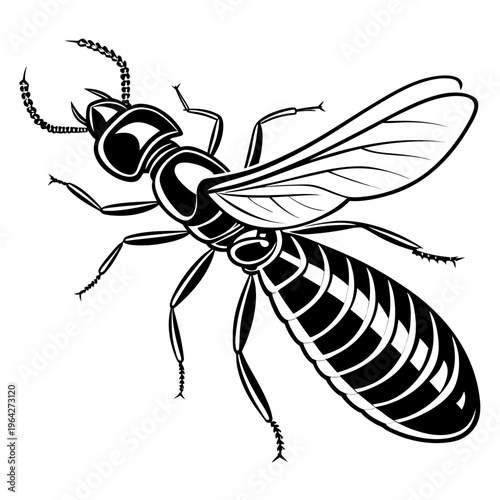 Detailed Black and White Insect Vector Illustration, Winged Ant or Termite Graphic, Scientific Entomology Art, Clean Line Drawing for Nature and Science Projects