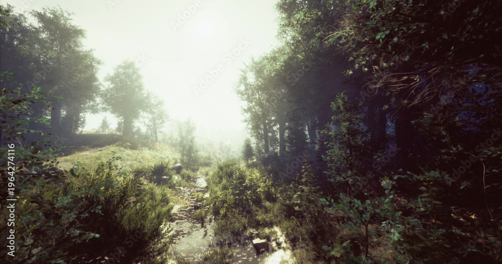 Fototapeta premium A serene forest path leads through dense trees, illuminated by soft sunlight filtering through a gentle fog on a tranquil morning. Natures beauty envelops the surroundings.