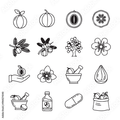 Botanical Ingredients Icons: Fruit Flower Seed Oil Drop Pill Mortar Pestle