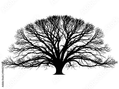 Floral Number 14 Vector Illustration - Elegant Fourteen with Botanical Elements and Spring Flowers