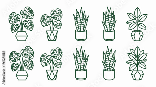 Set of various minimalist line art icons featuring common indoor potted houseplants in different decorative styles