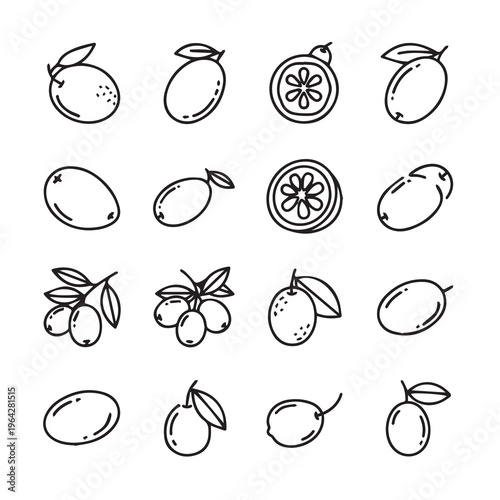 Kumquat Citrus Fruits Line Art Icons Isolated on White Background Vector Illustration