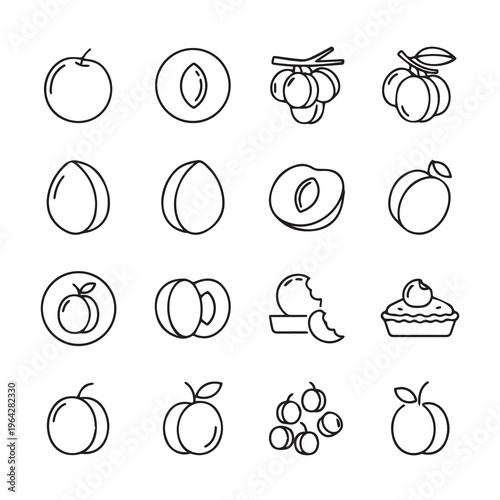 Plum Fruit Icons: Whole Halved Branch Pie and BiteClean Line Art Style