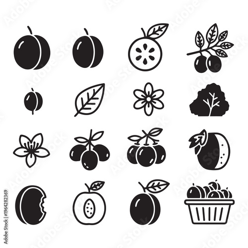 Plum Fruit Icons: Whole Halved Leaves Blossoms and Basket Collection