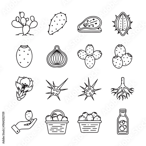 Prickly Pear Cactus Elements: Fruit Flower Pads Root Harvest in Line Art Style