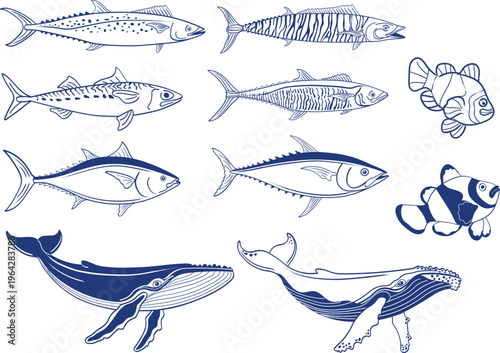 Vector Animal ocean doodles, Coastal drawings. Hand drawn illustration of tuna, mackerel, whale and clownfish. Graphic background elements. 

