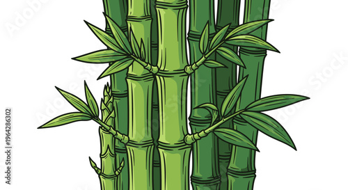 Bamboo stalks with green leaves growing.