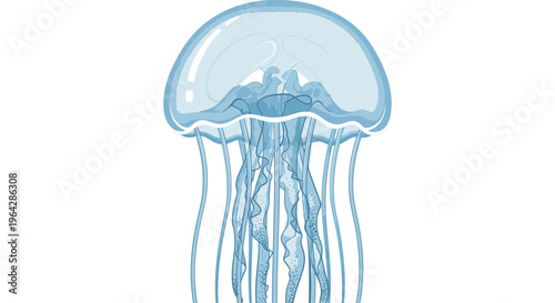 Blue jellyfish with long tentacles swimming.