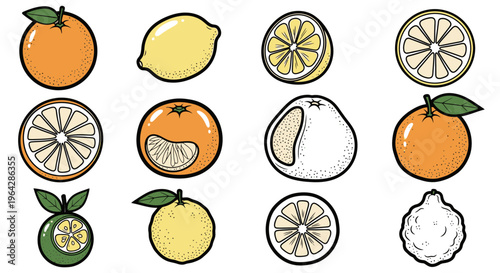 Citrus fruits in various forms.