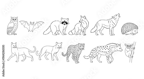 Collection of various wild animal drawings 16.