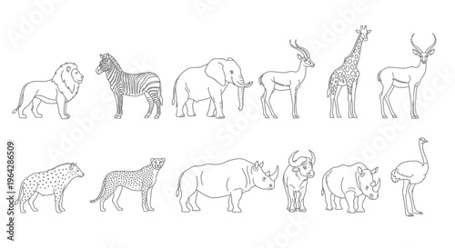 Collection of various wild animals standing 8.