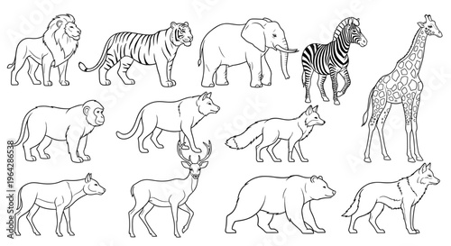 Collection of various wild animals walking.