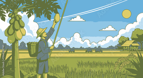 Man picking fruit from tree branch.