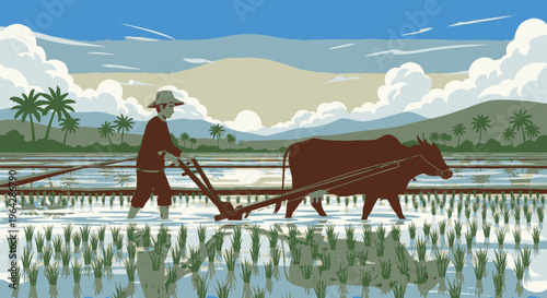 Man plowing field with brown oxen 2.