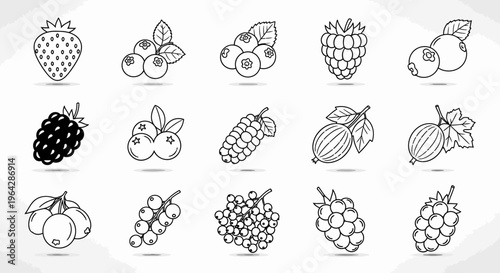 Variety of fruit icons in illustrations 3.