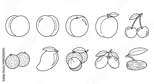 Variety of fruit illustrations 12.