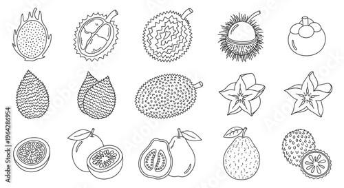 Variety of fruit illustrations 3.
