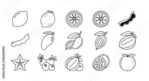 Variety of fruit icons line drawings 3.