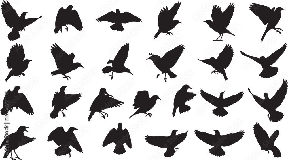 Fototapeta premium flock of flying birds in various poses vector illustration