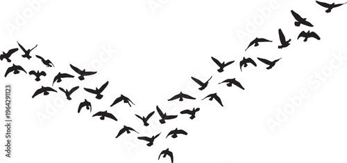 flock of migrating birds flying in v-shaped formation vector illustration