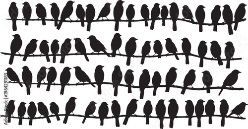 flock of birds perched on branches minimalist black vector illustration