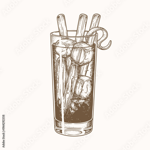 Vintage Hand-Drawn Illustration of a Refreshing Iced Tall Drink with Botanical Garnish, Perfect for Classic Cocktail Menus or Beverage Design Projects
