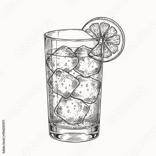 Hand drawn illustration of a refreshing herbal infused drink with ice cubes and a citrus slice
