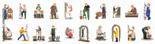 Collection of diverse gardeners caring for roses, pruning bushes, and planting flowers in a garden, isolated on a white background.