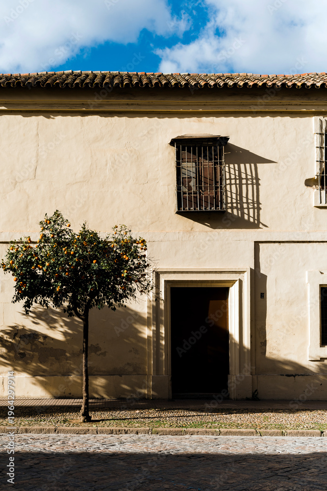 Fototapeta premium A picturesque traditional Spanish house with an orange tree in Cordoba, Spain.