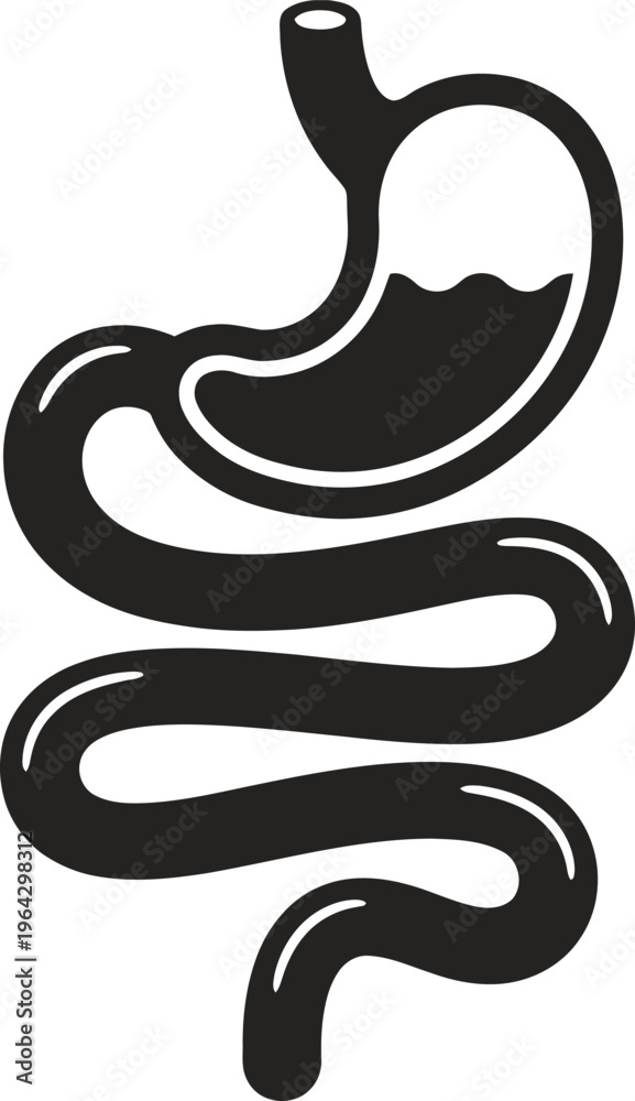 Fototapeta premium Vector graphic illustration of a human stomach and intestines design
