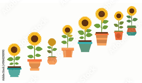 Flat sunflower plants in pots collection modern decorative floral vector illustration with growth concept