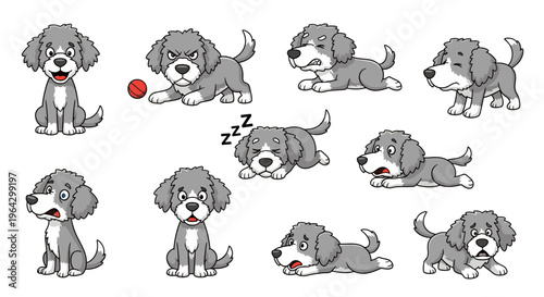 Spanish Water Dog expressing various emotions and actions in illustrations  