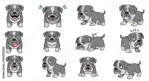 Cartoon Alapaha Blue Blood Bulldog with various expressions and poses  