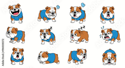 Illustrated expressions of English Bulldog in various poses and emotions  