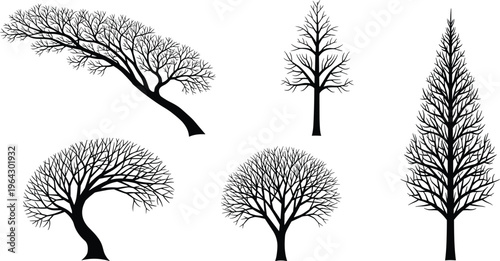 Set of black silhouette icons featuring various bare trees and branches including pine and curved oak shapes for nature design.