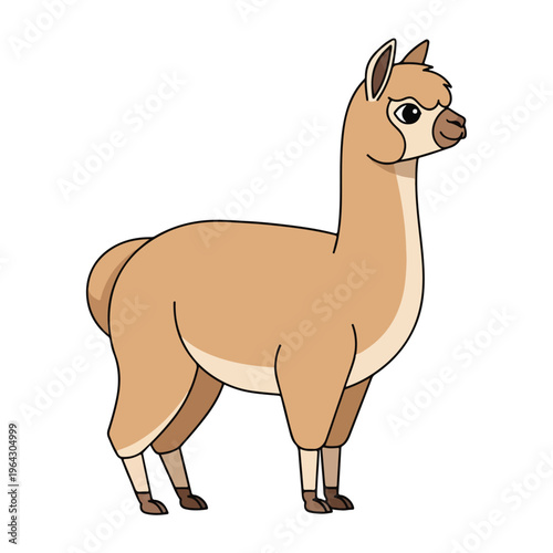 Cartoon llama standing isolated on white background looking right