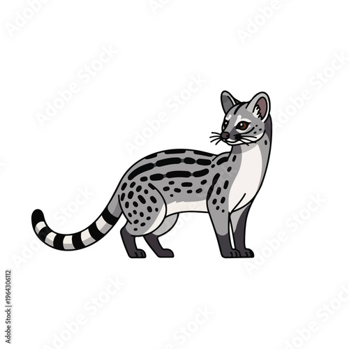 Spotted Asian small clawed civet standing on white background