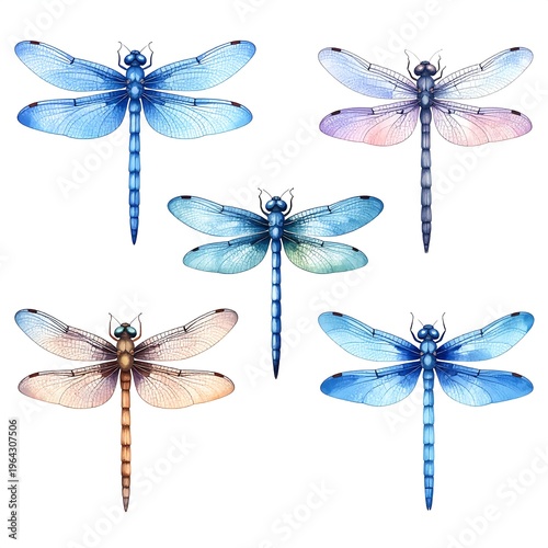 Dragonfly Watercolor Collection - Delicate Insect Illustrations for Creative Projects.
