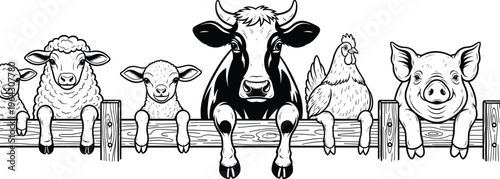 Group of farm animals including cow sheep pig and chicken peeking over a wooden fence in black and white silhouette