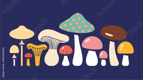 Mushroom Variety Illustration: A whimsical illustration showcases a vibrant collection of diverse mushrooms, each with unique shapes and colors, set against a dark blue backdrop.